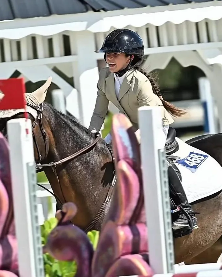 Azalia smiling over a fence on Tycooly