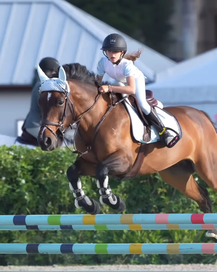 Azalia clearing an oxer at a Wellington show